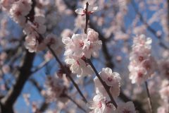 4月のひとこと